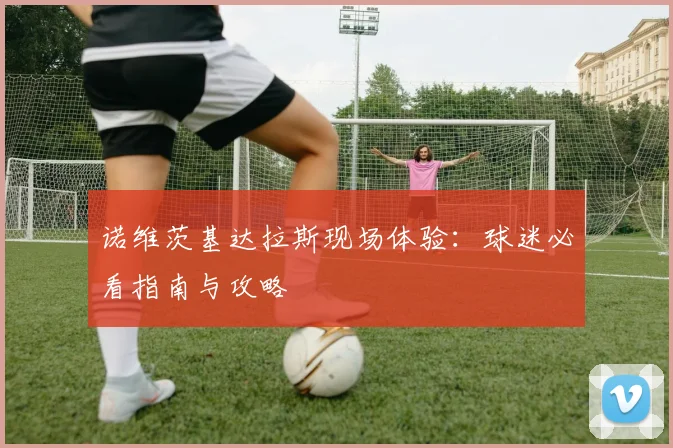 诺维茨基达拉斯现场体验：球迷必看指南与攻略