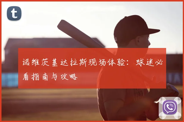 诺维茨基达拉斯现场体验:球迷必看指南与攻略